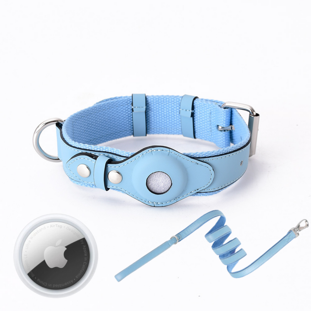 GPS-hondenhalsband met Wereldwijde Tracking zonder Abonnement – GPS Tracker Hond met App, 3 Maten, 5 Kleuren