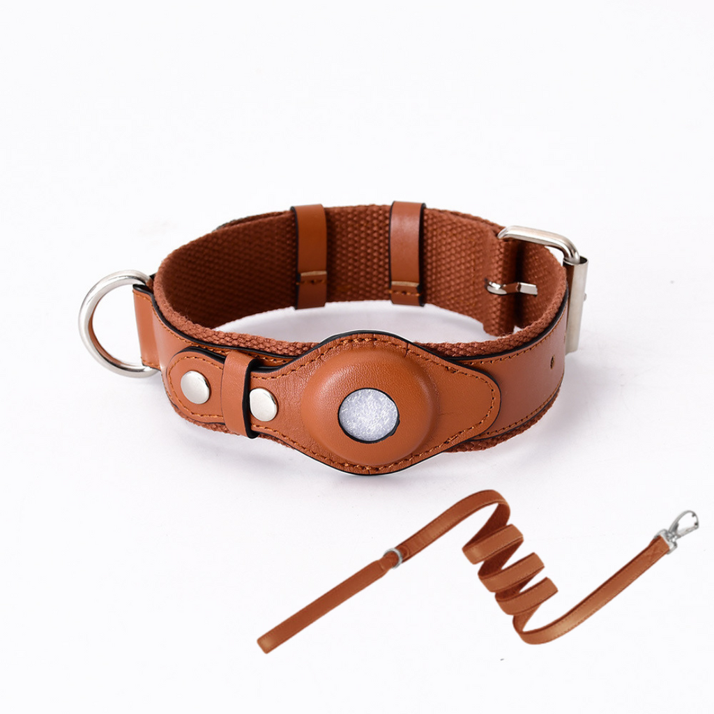 GPS-hondenhalsband met Wereldwijde Tracking zonder Abonnement – GPS Tracker Hond met App, 3 Maten, 5 Kleuren