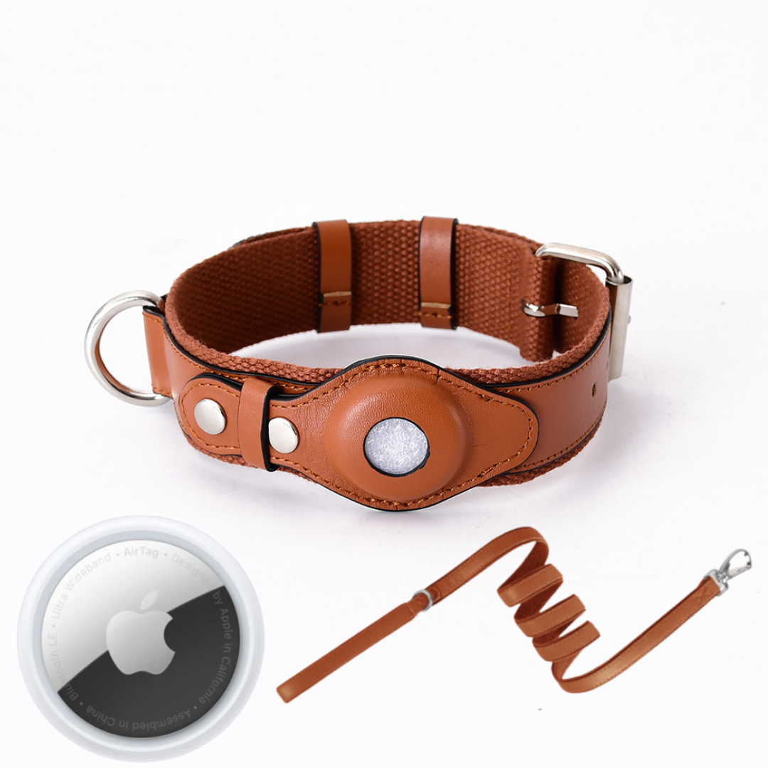 GPS-hondenhalsband met Wereldwijde Tracking zonder Abonnement – GPS Tracker Hond met App, 3 Maten, 5 Kleuren