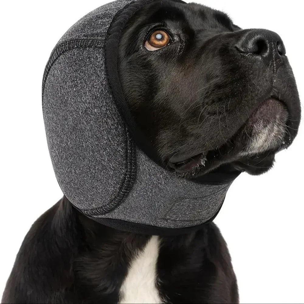 Hond Geluidsdempende Oorbeschermers & Waterdichte Badmuts - Geluiddichte Angstverlichtende Kap, Kalmerende Huisdier-Hoofdbedekking voor Vuurwerk, Verzorging & Onweer Grijs