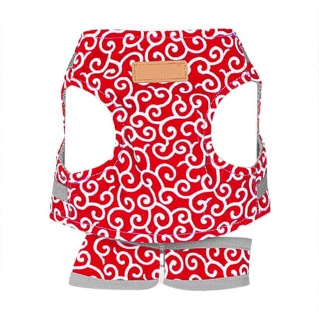 Kattentuigje met Riem – Verstelbaar Tuigje van Ademend Mesh met Snelsluiting & 1,2 m Lijn, XS-S, Blauw, Groen of Rood