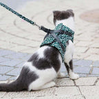 Kattentuigje met Riem – Verstelbaar Tuigje van Ademend Mesh met Snelsluiting & 1,2 m Lijn, XS-S, Blauw, Groen of Rood
