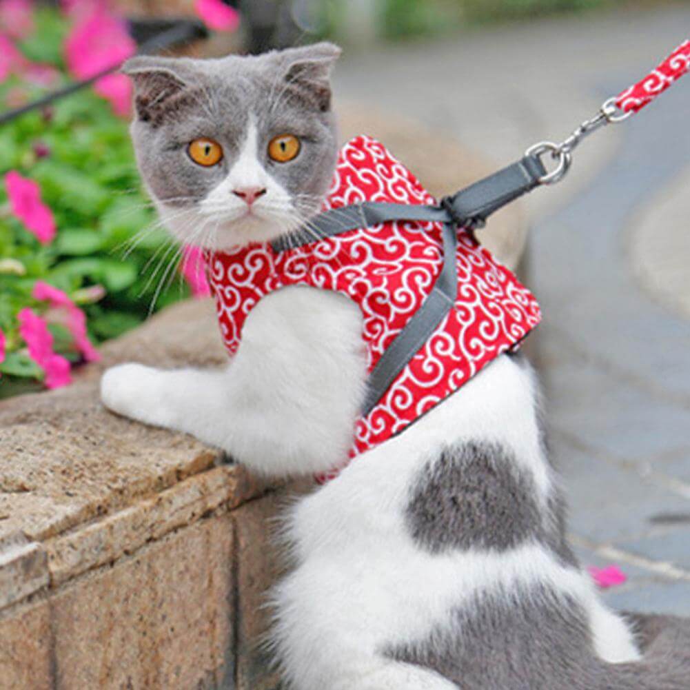Kattentuigje met Riem – Verstelbaar Tuigje van Ademend Mesh met Snelsluiting & 1,2 m Lijn, XS-S, Blauw, Groen of Rood