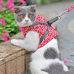 Kattentuigje met Riem – Verstelbaar Tuigje van Ademend Mesh met Snelsluiting & 1,2 m Lijn, XS-S, Blauw, Groen of Rood