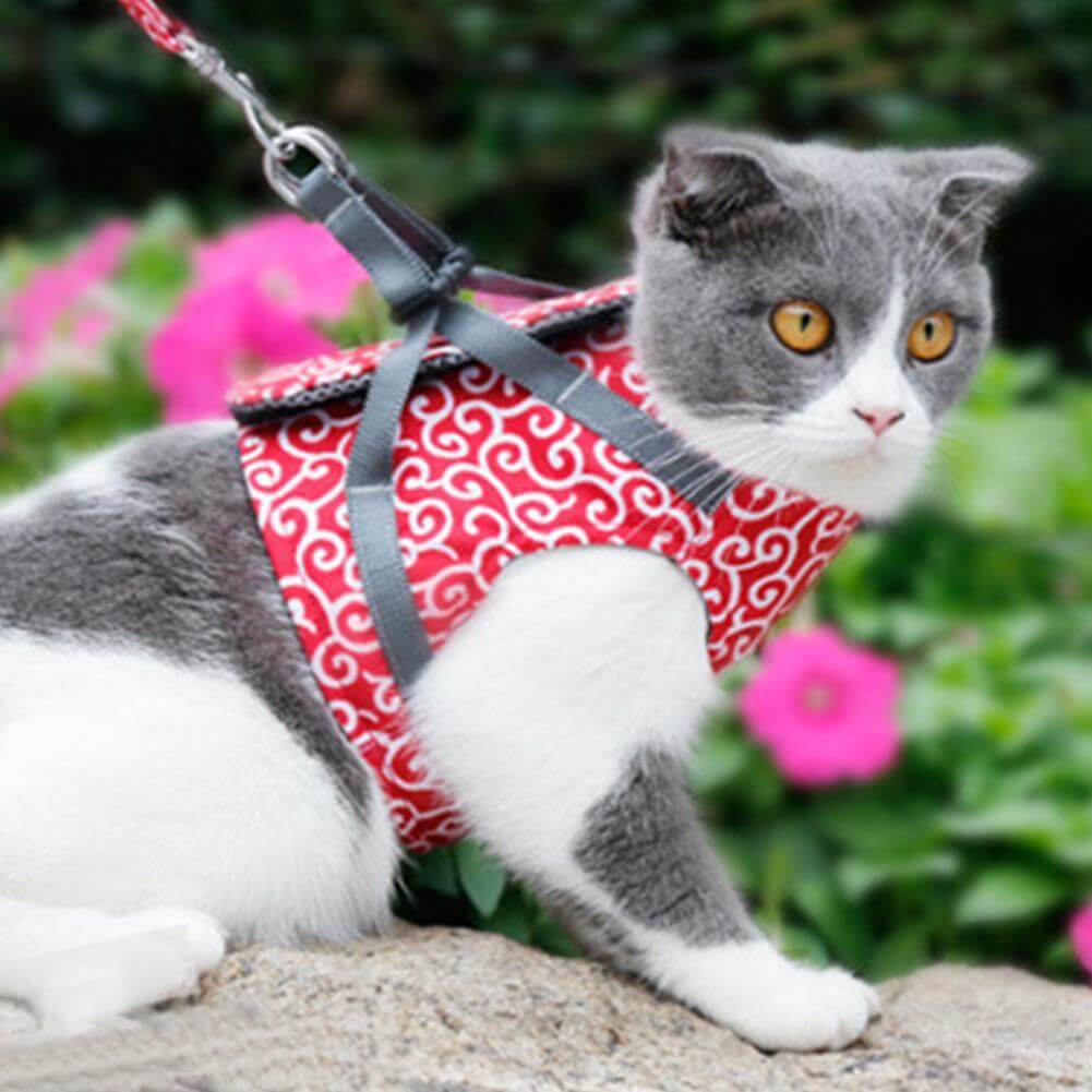 Kattentuigje met Riem – Verstelbaar Tuigje van Ademend Mesh met Snelsluiting & 1,2 m Lijn, XS-S, Blauw, Groen of Rood Rood