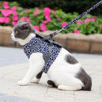 Kattentuigje met Riem – Verstelbaar Tuigje van Ademend Mesh met Snelsluiting & 1,2 m Lijn, XS-S, Blauw, Groen of Rood Blauw