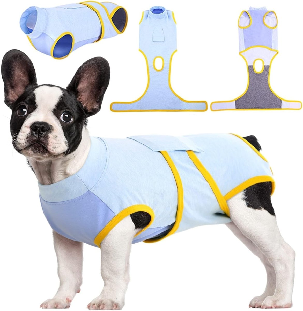 Op Maat Gemaakt Herstelpak voor Honden — Zachte Stof Postoperatief Herstelkledingstuk Blauw